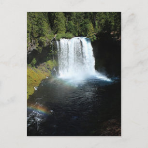 Carte postale Koosah Falls Oregon Waterfall
