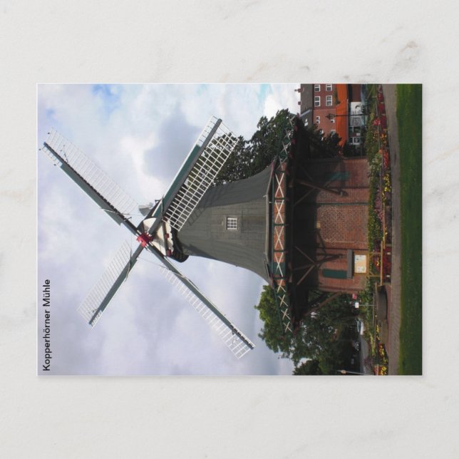 Carte Postale Kopperhörner Mühle / Galerieholländer (Devant)