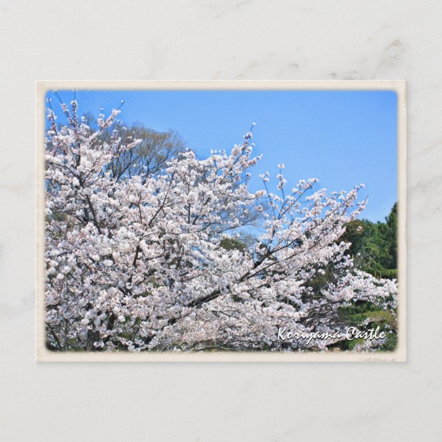 Carte Postale Kōriyama Castle ポストカード (Devant)