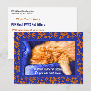 Carte Postale Kouch Kitty Custom Pet Sitter's Publicité Postca