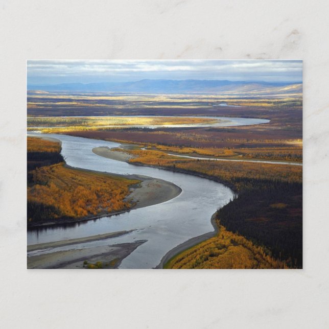 Carte Postale Koyukuk (Devant)