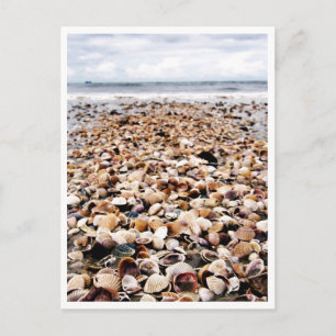 Carte Postale Krabi Thaïlande   Coquillages sur la Postcar Seash