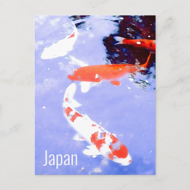 Carte Postale Kyoto Japon Kohaku koi carpe Voyage japonais (Devant)