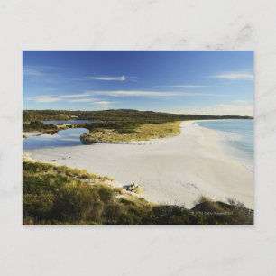 Carte Postale La baie des incendies sur la côte Est de la Tasman