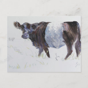 Carte Postale La bande blanche