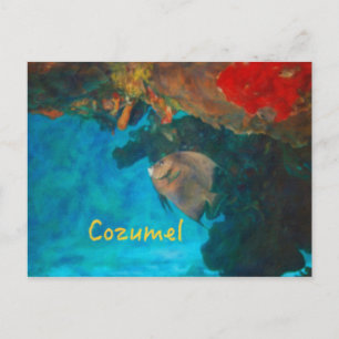 Carte Postale La barrière de corail de Cozumel