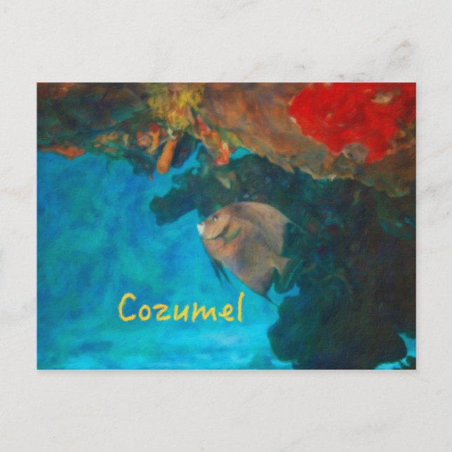Carte Postale La barrière de corail de Cozumel (Devant)
