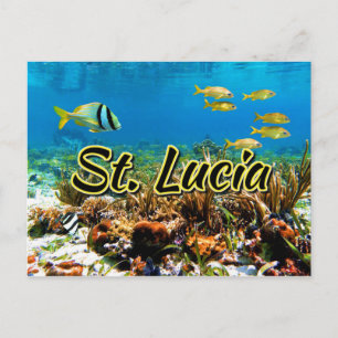 Carte Postale La barrière de corail de Sainte-Lucie