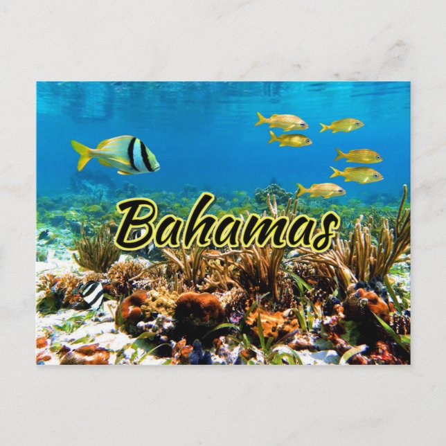 Carte Postale La barrière de corail des Bahamas (Devant)
