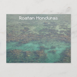 Carte Postale La barrière de corail du Honduras