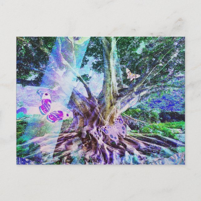 Carte Postale La beauté de l'arbre de vie (Devant)