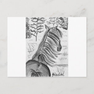 Carte Postale La beauté des chevaux n° 1