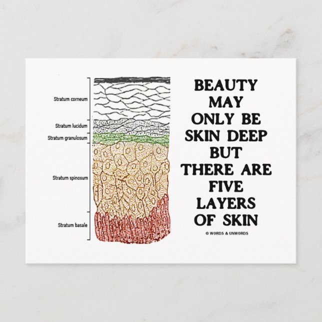 Carte Postale La Beauté Peut Être Profonde De La Peau Mais Cinq  (Devant)