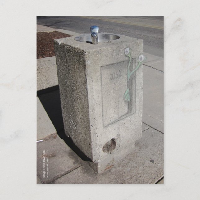 Carte Postale la boue émerge de l'hibernation (Devant)