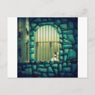 Carte Postale La cage de Rapunzel