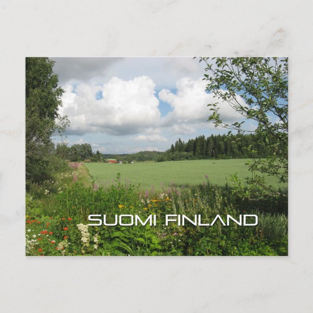 Carte Postale La campagne finlandaise (Devant)
