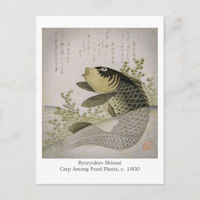 Carte Postale La carpe de Koi parmi l'étang plante l'art de (Devant)