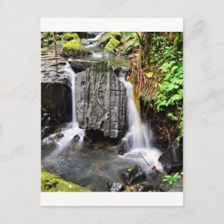 Carte Postale La cascade d'El Yunque