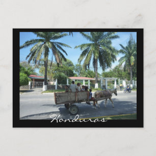 Carte Postale la ceiba