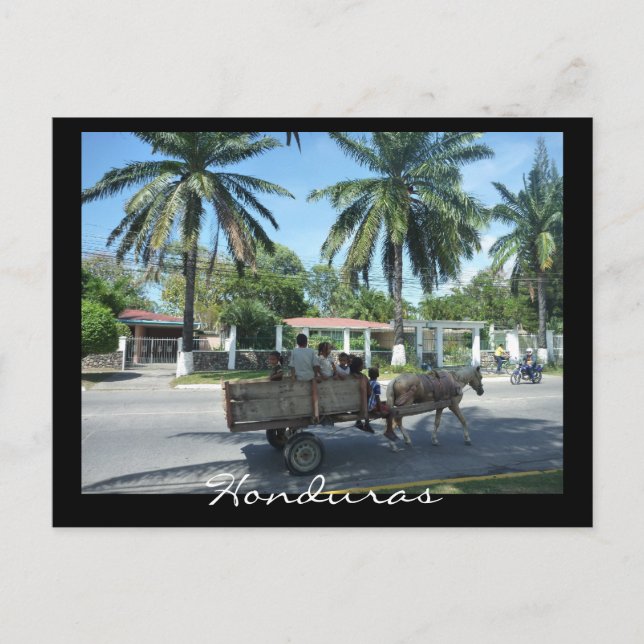 Carte Postale la ceiba (Devant)