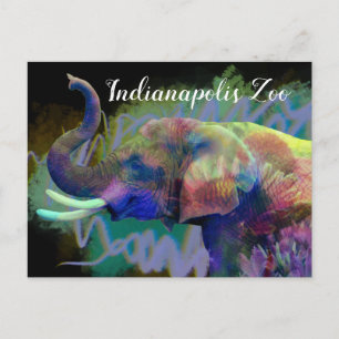 Carte Postale La chance de l'éléphant coloré du nez