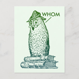 Carte Postale La Chouette De Grammaire Dit Qui (vert)