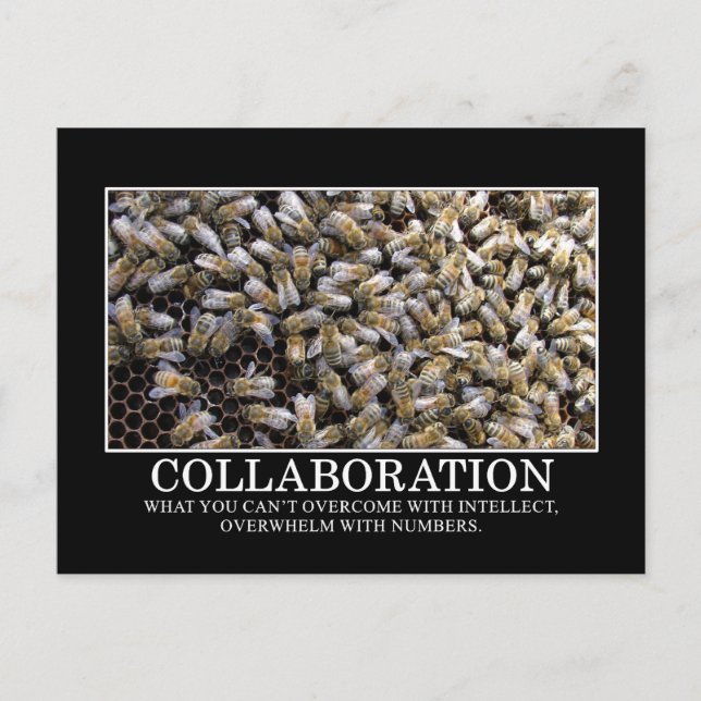 Carte Postale La collaboration améliore vos chances de succès (Devant)