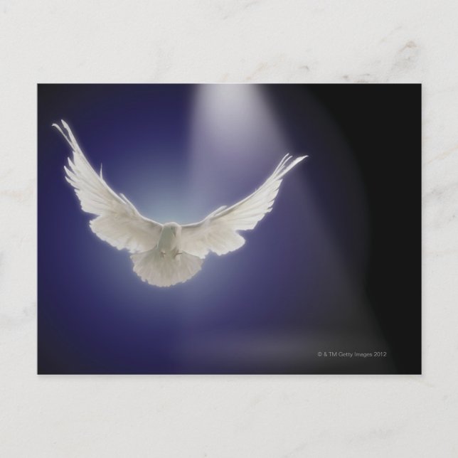 Carte Postale La colombe survolant le rayon de lumière (Devant)