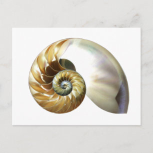 Carte Postale La coque du Nautilus