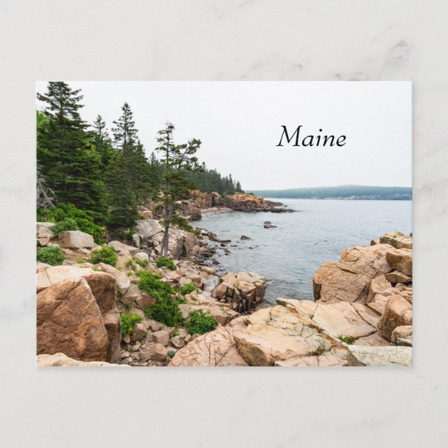 Carte Postale La côte accidentée du Maine dans le Parc national  (Devant)