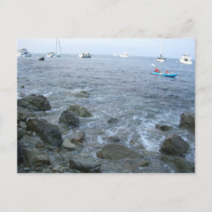 Carte Postale La côte de l'île Catalina