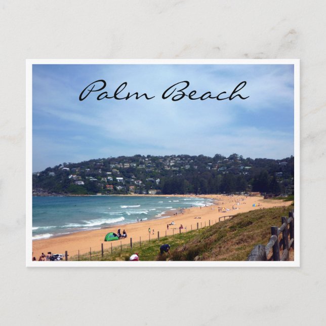 Carte Postale la côte de palme (Devant)