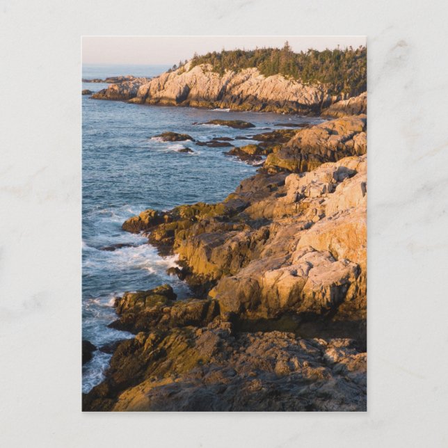 Carte Postale La côte rocheuse de l'Isle au Haut dans le Maine's (Devant)