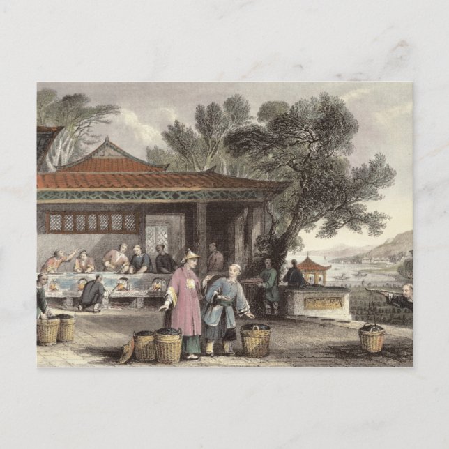Carte Postale La culture et la préparation du thé, de 'Chine en (Devant)