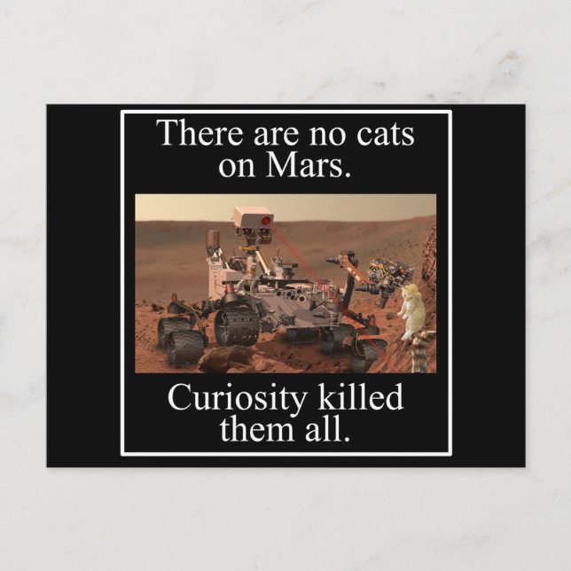 Carte Postale La curiosité Rover de la NASA et aucuns chats sur (Devant)