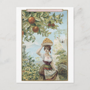 Carte Postale La Dame Portant Des Fruits