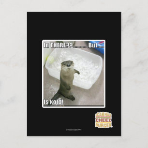 Carte Postale Là-dedans ? Est Kold !