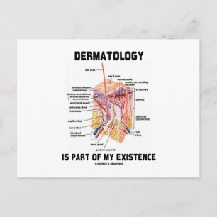 Carte Postale La Dermatologie Fait Partie De Mon Existence (Couc