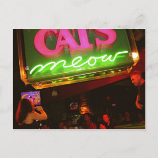 Carte Postale La discothèque Meow du chat à la Nouvelle-Orléans