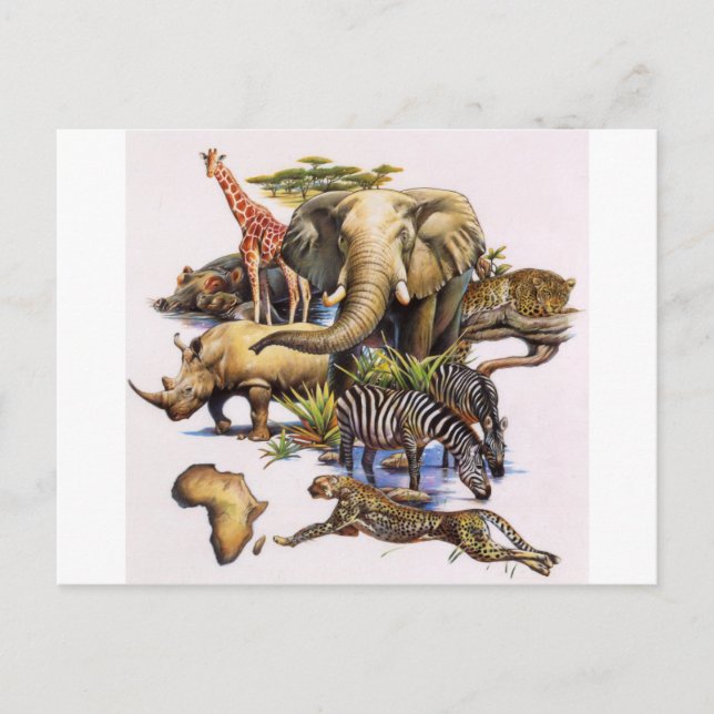 Carte Postale La faune africaine en concert (Devant)