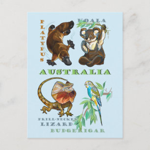 Carte Postale La faune australienne