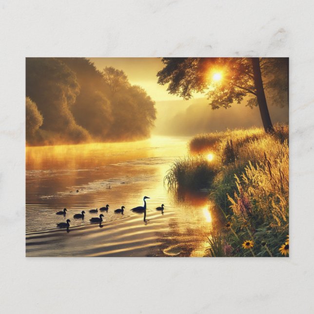 Carte Postale La faune de Riverbank à Sunrise (Devant)