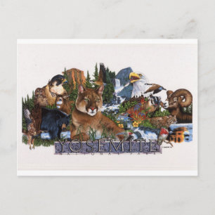 Carte Postale La faune du yosemite