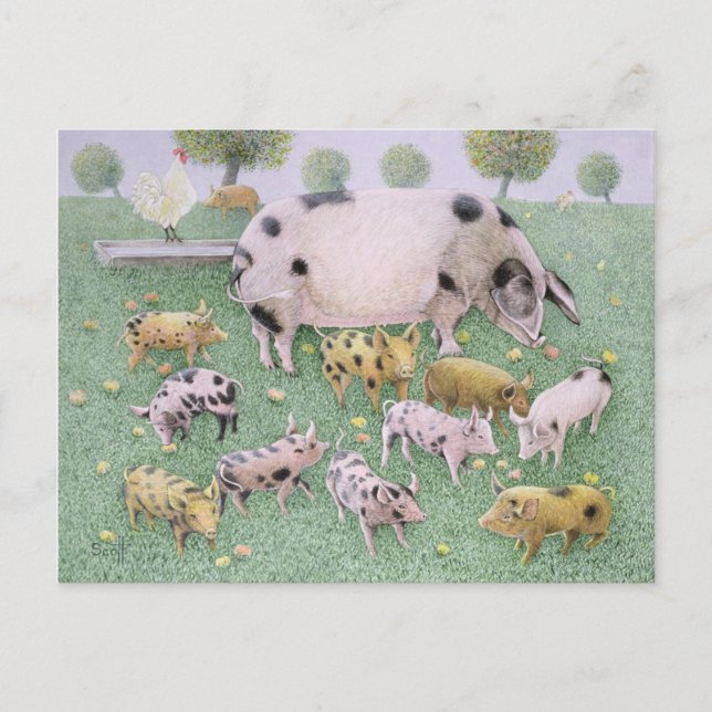 Carte Postale La fête des pommes (Devant)