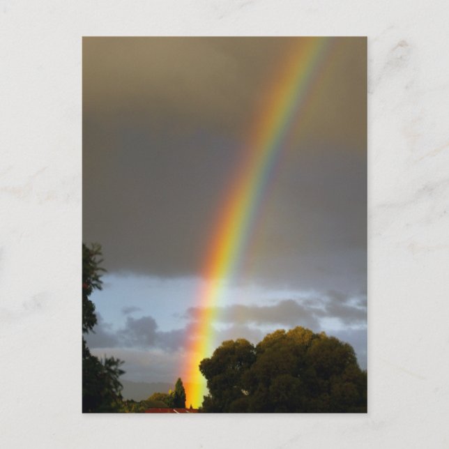 Carte Postale La fin de Rainbow (Devant)