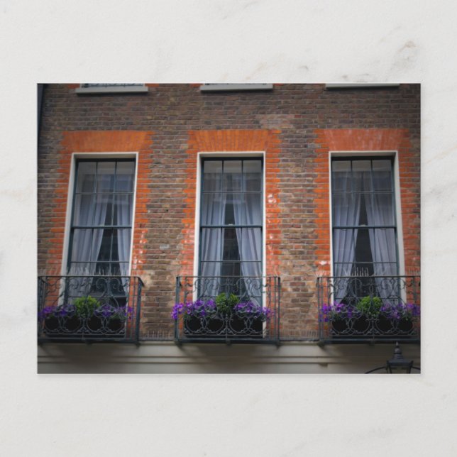 Carte Postale La fleur de fenêtre de Londres enferme dans une (Devant)