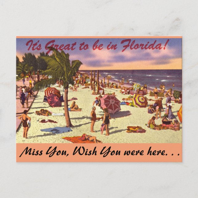 Carte Postale La Floride, il est grand d'être dedans (Devant)