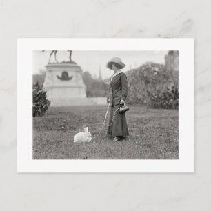 Carte Postale La folle dame lapin