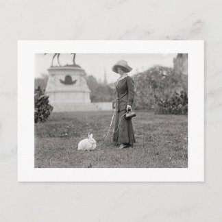 Carte Postale La folle dame lapin