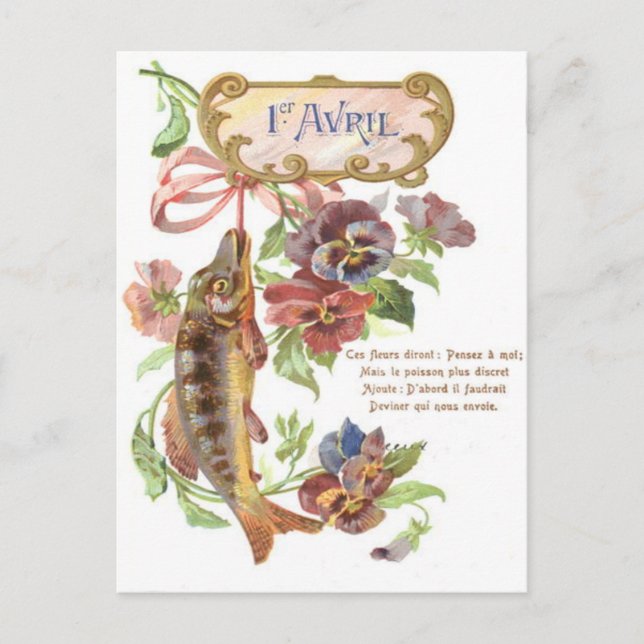 Carte Postale La gloire du matin du poisson (Devant)
